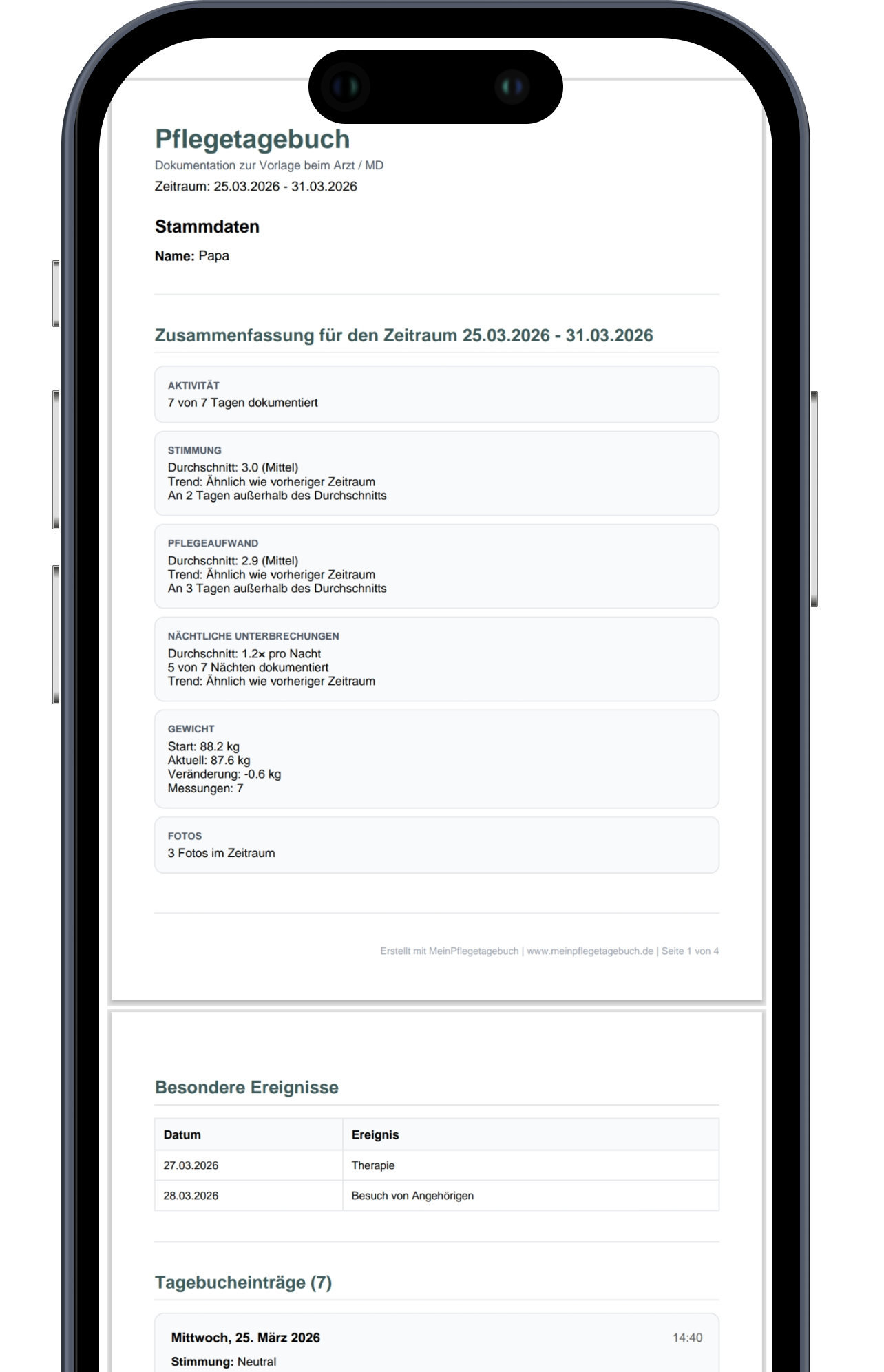 PDF-Bericht für die Pflegekasse